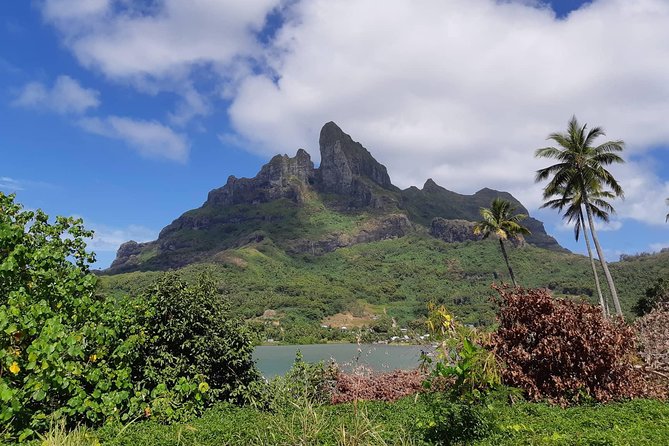 Private Island Tour by ATV / QUAD - Why This Private Quad Tour Feels Like Real Bora Bora