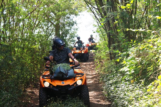 Private Island Tour by ATV / QUAD - Price and Value: What You’re Paying For (and Why It Can Make Sense)