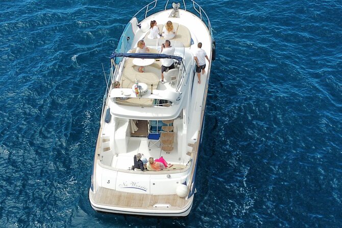 Private Luxury Motor Boat 2, 3 and 4 Hour Charters - Wildlife spotting: dolphins, pilot whales, turtles, and friends