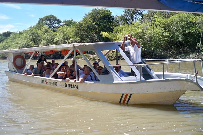 PRIVATE Palo Verde Boat Safari: Wildlife + Lunch Included - Who this Palo Verde safari fits best (and who might want a different style)