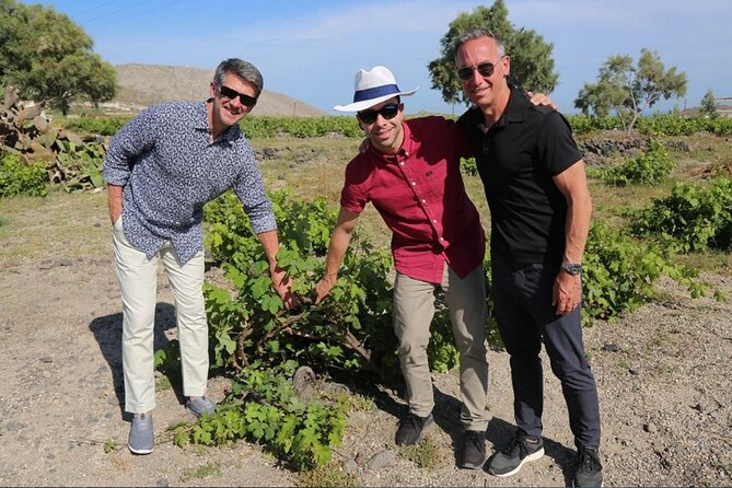 Private Santorini Sunset Wine Tour with Tastings and Tapas - Cheese, snacks, and tapas-style pacing