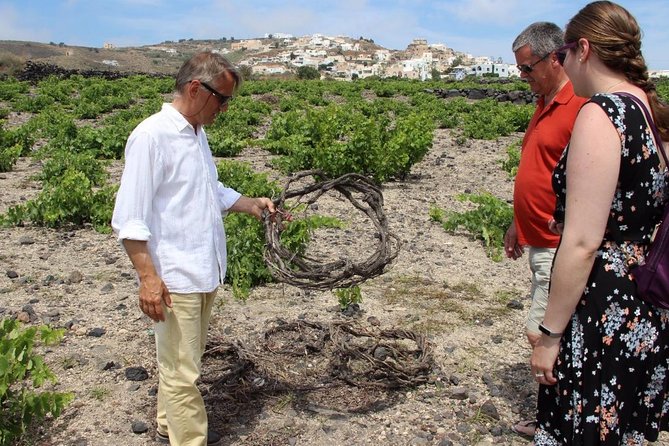 Private Santorini Sunset Wine Tour with Tastings and Tapas - Stop 2: Gaia Winery for volcanic-varietal context