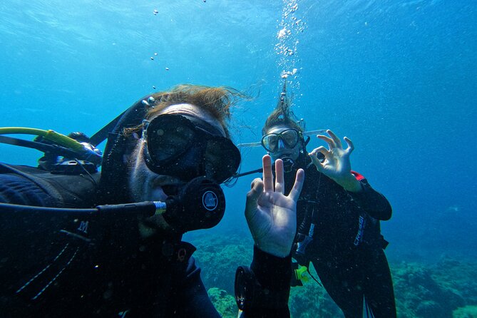 Private Scuba Diving in Tenerife – Certified Instructor & Photos - The Underwater Time: A Controlled, Beginner-Friendly Experience