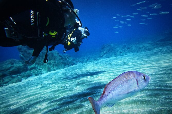Private Scuba Diving in Tenerife – Certified Instructor & Photos - Instructors Who Calm Your Brain (Not Just Your Breathing)