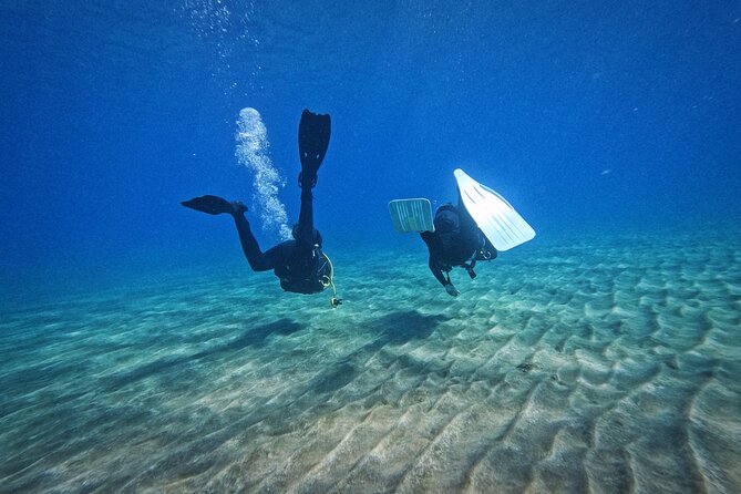 Private Scuba Diving in Tenerife – Certified Instructor & Photos - What You Should Bring (And What You Can Skip)