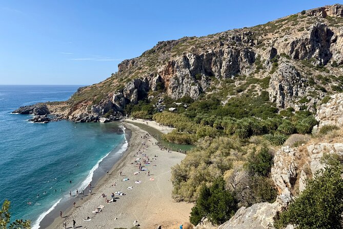 Private South Crete Full-Day Tour-Spili, Kourtaliotiko & Preveli - Preveli Palm Forest: the river-to-sea moment