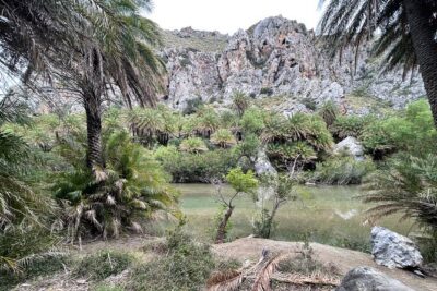 Private South Crete Full-Day Tour-Spili, Kourtaliotiko & Preveli - Kourtaliotiko Gorge: cliffs, vultures, and the choice to go down