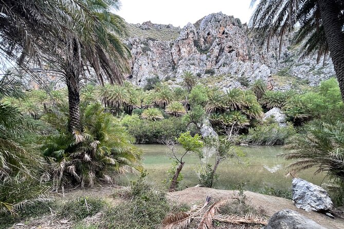 Private South Crete Full-Day Tour-Spili, Kourtaliotiko & Preveli - Kourtaliotiko Gorge: cliffs, vultures, and the choice to go down