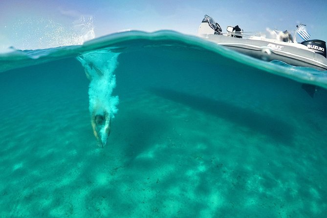 Private Speedboat Cruise from Delos to Rhenia and Mykonos - Private Cruise From Delos to Rhenia: What This Route Gets Right