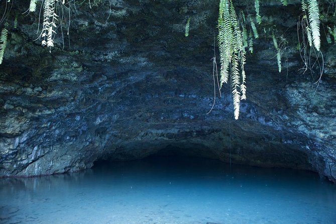 Private Tahiti Circle Island - Waterfalls, Black Sand & Views - Key things I’d plan around