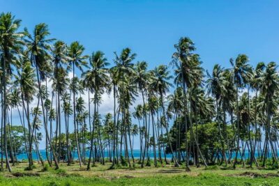 Private Tahiti Circle Island - Waterfalls, Black Sand & Views - The Private Format: How Customization Changes Everything