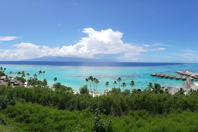 Private Tahiti Circle Island - Waterfalls, Black Sand & Views - Stop 3: Vaipahi Water Gardens for Ponds, Springs, and an Easy Walk