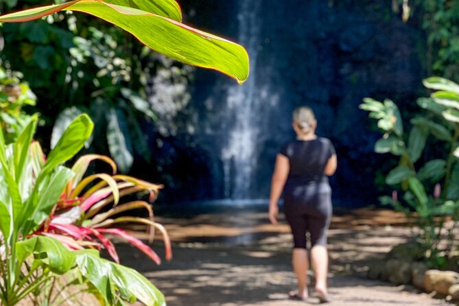Private TAHITI Half Day Circle Island Tour (Departs 8am or 1pm) - Half-Day Circle Island: What You Really Get in 4.5 Hours