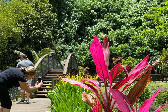 Private TAHITI Half Day Circle Island Tour (Departs 8am or 1pm) - Guide Style, Customization, and Photo-Friendly Stops