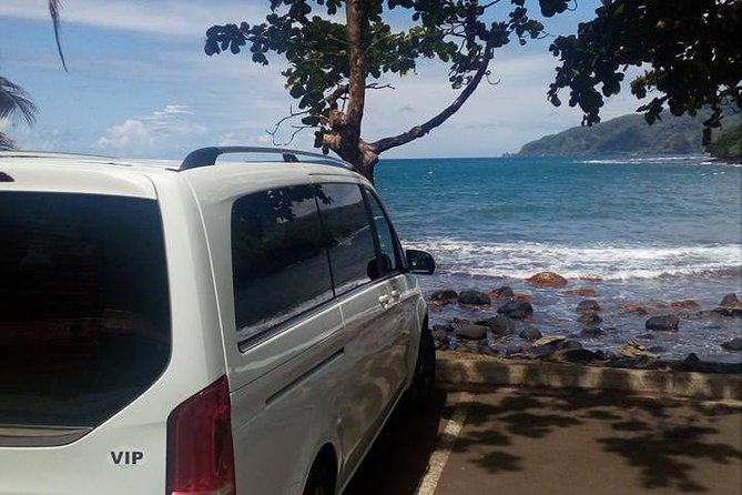 private Tahiti island discovery - Stop 4: Water Gardens of Vaipahi for flowers, trees, and a mini waterfall