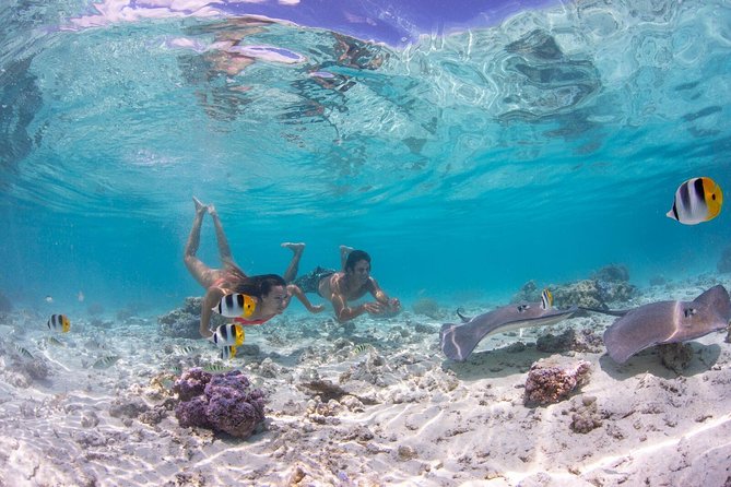 Private Tour: Bora Bora Lagoon Eco Snorkel Cruise - 3hrs or 6hrs - Key things you’ll notice right away