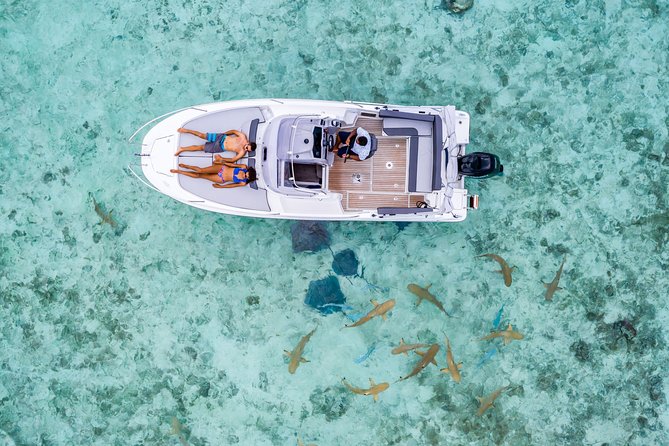 Private Tour: Bora Bora Lagoon Eco Snorkel Cruise - 3hrs or 6hrs - What the 3-hour vs 6-hour cruise really means