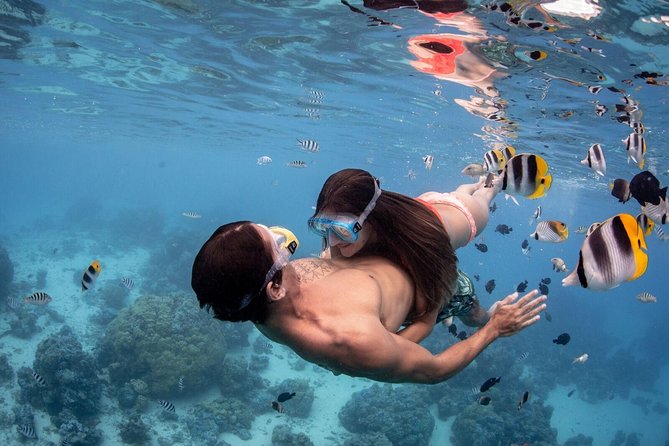 Private Tour: Bora Bora Lagoon Eco Snorkel Cruise - 3hrs or 6hrs - The eco-friendly approach that actually affects your experience