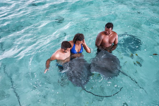 Private Tour: Bora Bora Lagoon Eco Snorkel Cruise - 3hrs or 6hrs - Lunch on a secluded motu: why the 6-hour option feels special