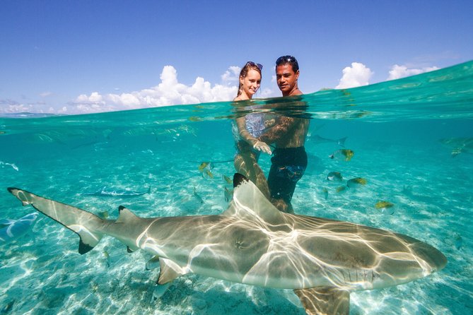 Private Tour: Bora Bora Lagoon Eco Snorkel Cruise - 3hrs or 6hrs - Guides and pace: where private tours win