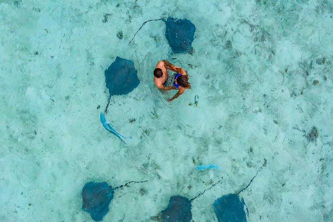 Private Tour: Bora Bora Lagoon Eco Snorkel Cruise - 3hrs or 6hrs - Price and value: is $346.08 per person worth it?
