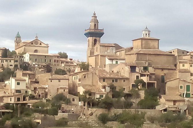 Private tour for my family from a cruise - A 4-hour Mallorca sampler that actually feels personal