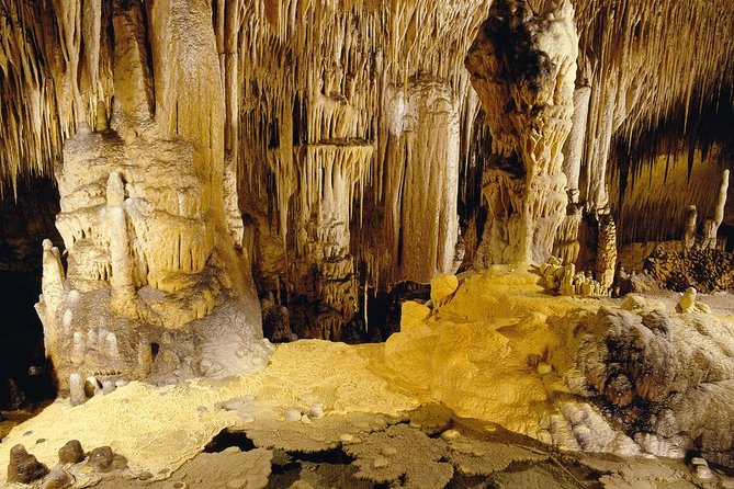 Private Tour: Mallorca Caves of Drach and Majorica Pearl Factory - The underground classical concert: short set, big atmosphere