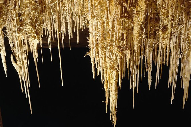 Private Tour: Mallorca Caves of Drach and Majorica Pearl Factory - Lake Martel boat ride: included, scenic, and maybe shorter than you imagine