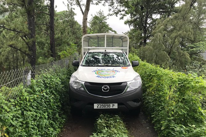 Private Tour Moorea 4WD - Belvedere Pineapple Farm, Magic Mount. - Magic Mountain Overlook: Geology Talk With Breathtaking Views