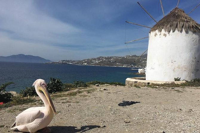 Private Tour: Mykonos Island in Half a Day - Mykonos Town: where you get bearings fast