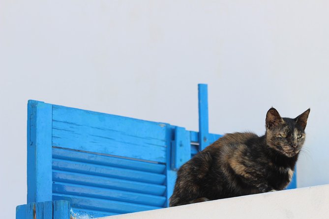 Private Tour: Mykonos Island in Half a Day - Little Venice: the quick walk that feels like a show
