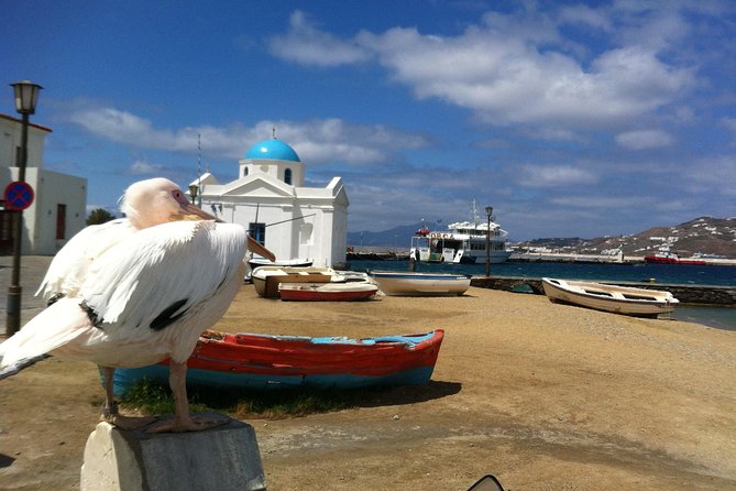Private Tour: Mykonos Island in Half a Day - Armenistis Lighthouse: views that reward the short stop