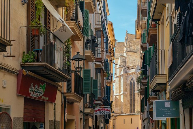 PRIVATE TOUR of Palma de Mallorca: Highlights & Hidden Gems - Placa de Cort and Olivera de Cort’s face-tree moment
