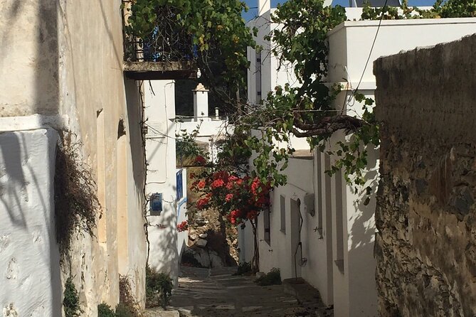 Private Tour on Paros Island - Starting in Naousa: fishing boats, quick photos, and fast orientation
