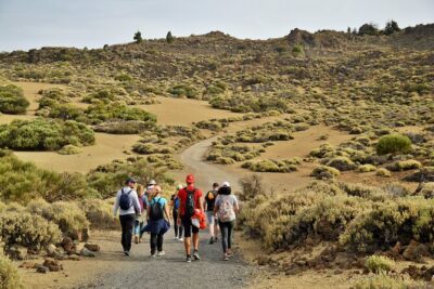 PRIVATE TOUR Teide National Park: Hiking and Stargazing - The Pine Forest, View Stops, and What Intermediate Really Means