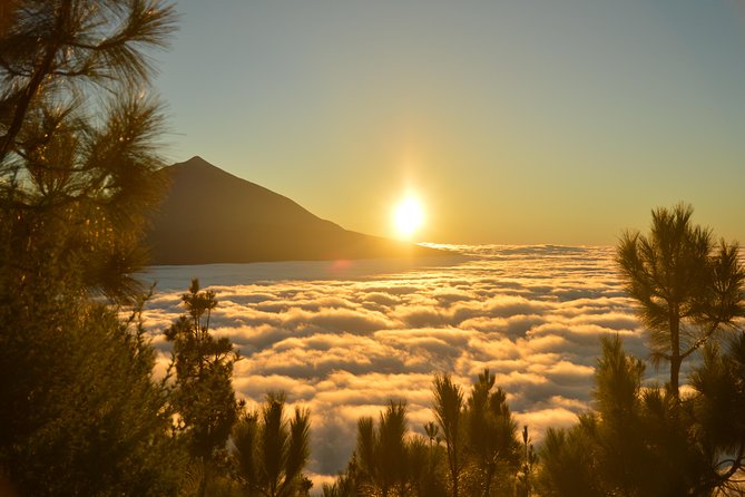 PRIVATE TOUR Teide National Park: Hiking and Stargazing - Should You Book This Teide Hiking and Stargazing Tour?