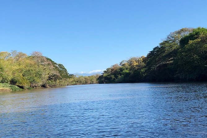 Private tours and transfer Costa Rica - Rio Tempisque from Tamarindo: What You’re Actually Signing Up For