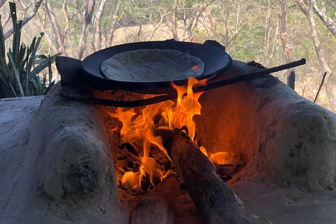 Private tours and transfer Costa Rica - Timing in Tamarindo: Why a 6:00–1:00 Tour Fits Real Vacations