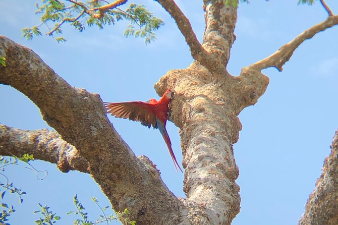 Private tours and transfer Costa Rica - Weather and Day-of Conditions: The One Variable You Can’t Control