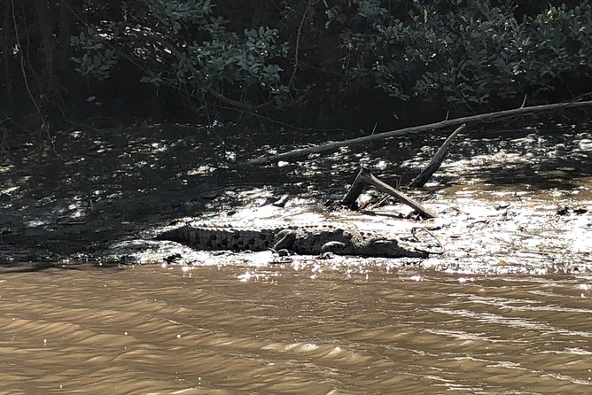 Private tours and transfer Costa Rica - Wildlife on the Boat: 90 Minutes Through the Dry Forest