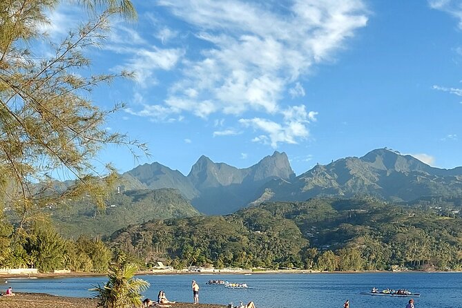 Private Tours of Tahiti by Lydia. Full or Half Day - Price and Logistics: What $650 Buys (and How to Think About Value)