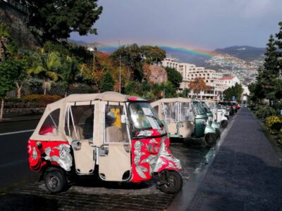Private tour:Tuk Tuk Ride to Monte Funchal Toboggans - How the 1.5-Hour Timing Actually Plays Out