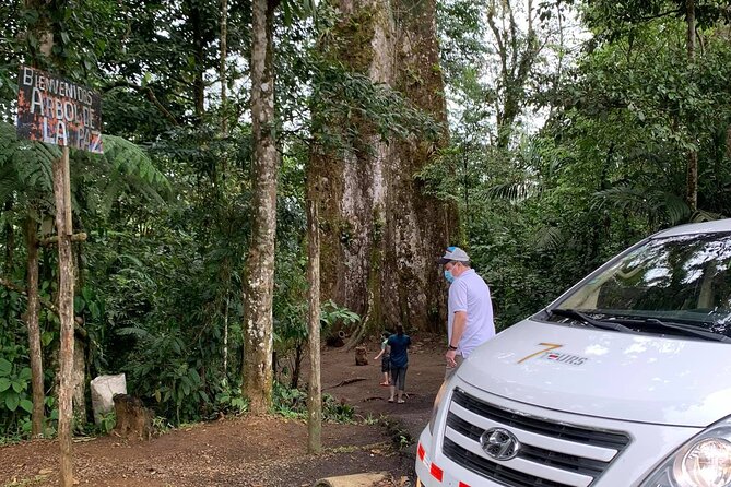 Private Transfer from La Fortuna to SJO Airport San Jose Hotels - The “right” kind of stops: coffee, bathrooms, photos, and quick errands