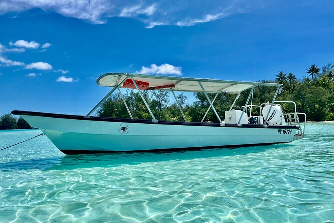 Private Whale Watching Adventure in Mo'orea - When wind, rain, and swells change the game