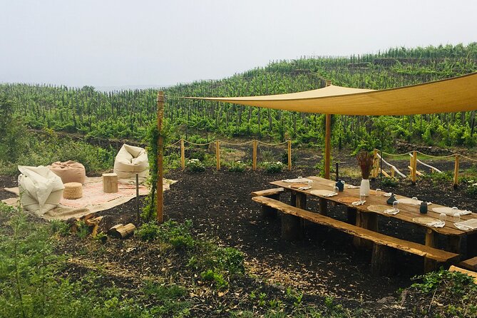 Private Wine and Food Tasting Immersed in Nature in Milo - Key Highlights You’ll Want to Know
