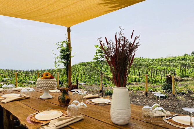 Private Wine and Food Tasting Immersed in Nature in Milo - The Menu: Starter, Pasta alla Norma, Nebrodi Black Pig, and Dolcericotta