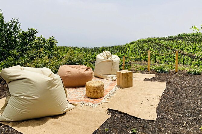 Private Wine and Food Tasting Immersed in Nature in Milo - Etna DOC Wines: Volcanic, Savory, and Intense Pairing Logic