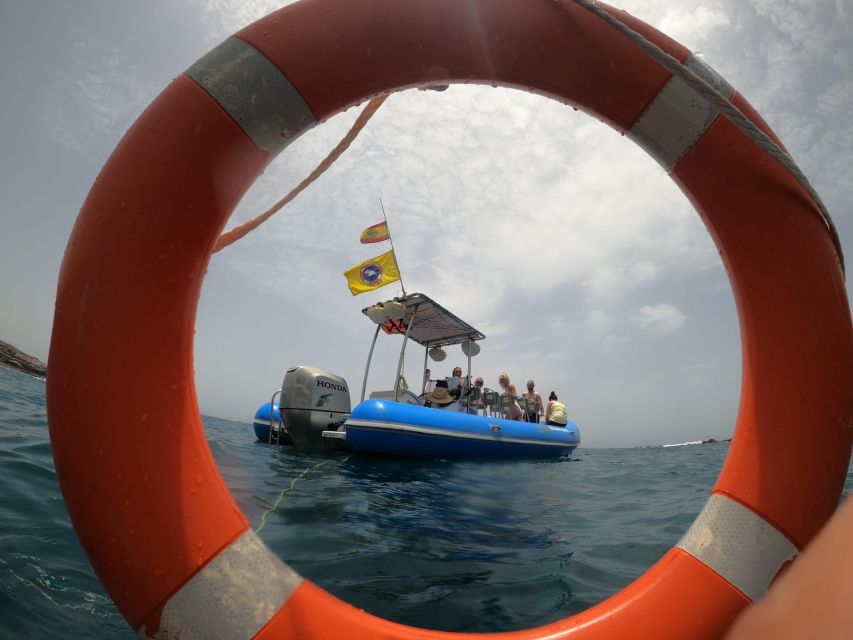 Puerto Colon: Dolphin and Whale Watching Speedboat Tour - Key points that matter before you book