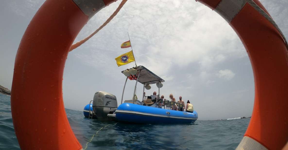 Puerto Colon: Dolphin and Whale Watching Speedboat Tour - The Palm-Mar or La Caleta swim stop: where the tour shifts from spotting to snorkeling