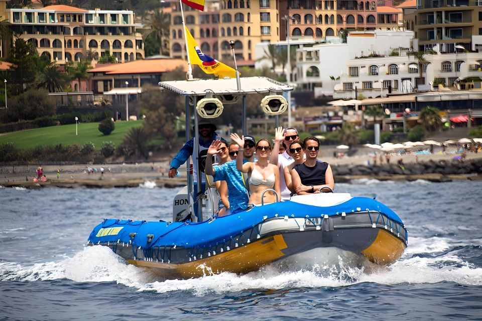 Puerto Colon: Dolphin and Whale Watching Speedboat Tour - Dolphins, whales, turtles: the experience is about respectful proximity